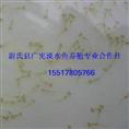 河南草鱼苗|河南草鱼苗批发价格 