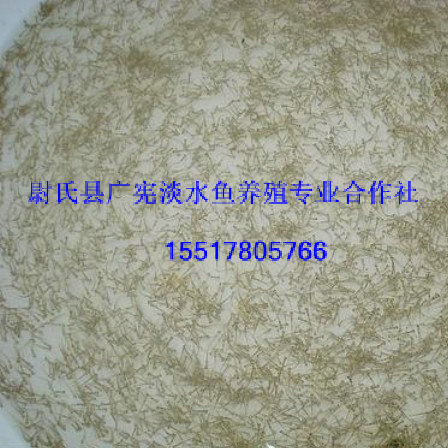 鲤鱼苗多少钱一斤|哪里有鲤鱼苗卖 