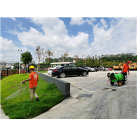 虫控消杀除四害服务