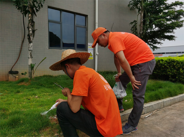 提供虫控消杀除四害服务