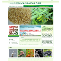 【模板】金泉网络技术有限公司
