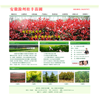 【模板】金泉网网站做得怎么样