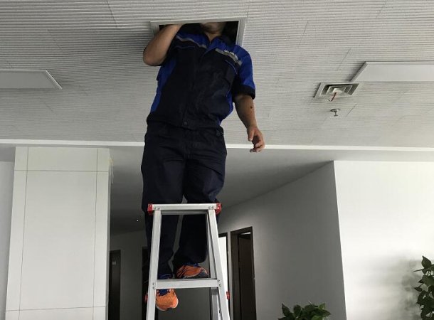 慈溪灭鼠电话