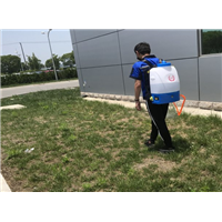 慈溪灭老鼠电话