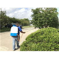 宁波鄞州消杀灭鼠公司