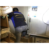 宁波江北消杀灭鼠公司