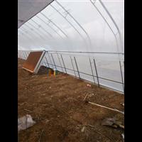 邯郸哪里有温室建设