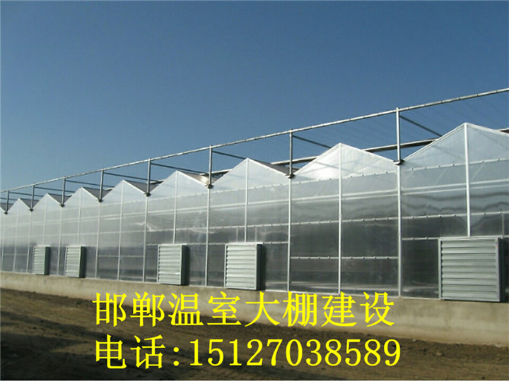 邯郸温室建设价格