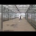邯郸温室大棚建设-邯郸温室建设 