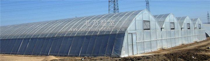河北温室大棚厂家-邯郸温室大棚厂家 