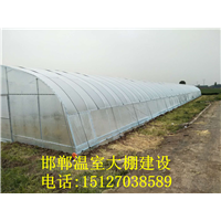 邯郸蔬菜温室大棚建设