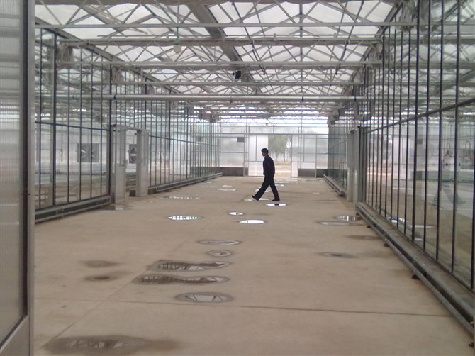 邯郸温室大棚建设-邯郸温室建设 