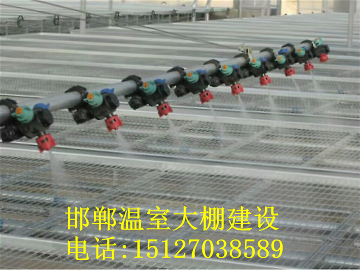邯郸温室建设