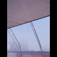邯郸**的温室建设