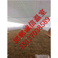 家庭花卉-邯郸楼顶温室建设