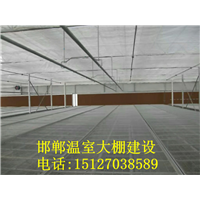 邯郸温室大棚建设