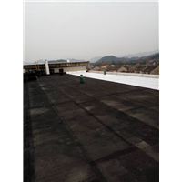 宁波市防水补漏、宁波市专业屋面防水、 