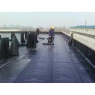 专业游泳池防水 