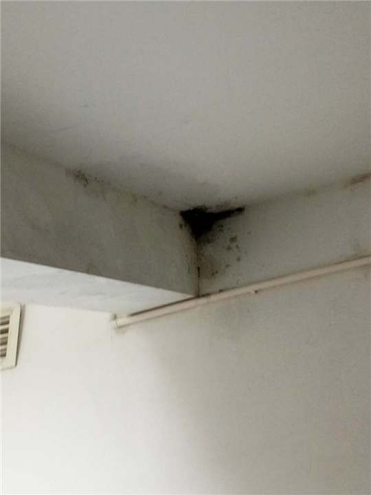 宁波市阳台防水、宁波市阳台防水补漏、宁波市专业阳台防水、 
