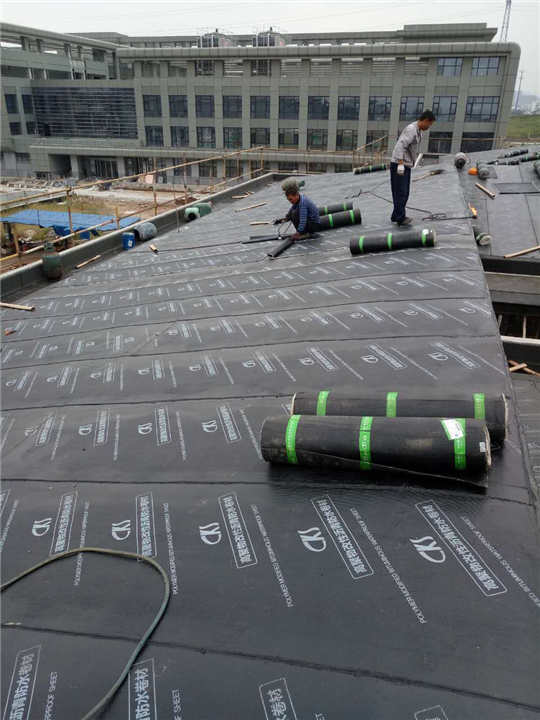 宁波市日星牌卷材防水、宁波市卷材防水补漏、 