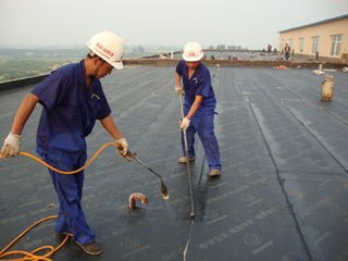 宁波防水 