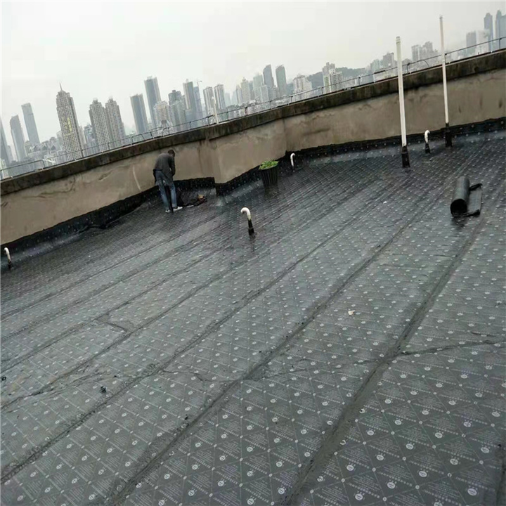 宁波屋顶防水