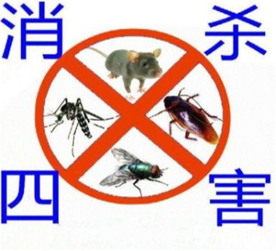 自贡除四害