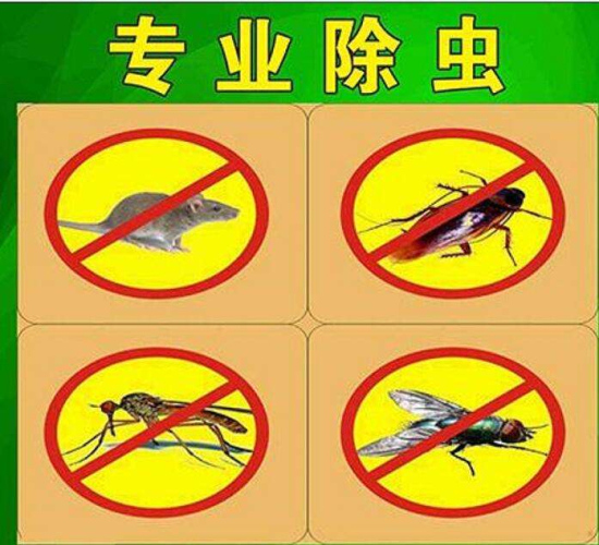 自贡杀虫灭鼠