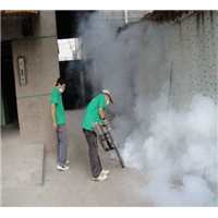 自贡灭鼠公司方法