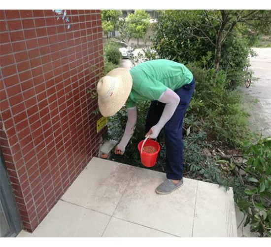 自贡灭鼠公司