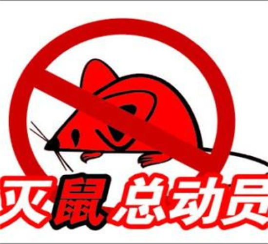 自贡灭鼠价格