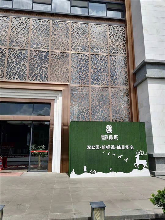 北流精通森林城甲醛检测案例