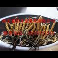 西安回收极草含片|西安极草含片回收 