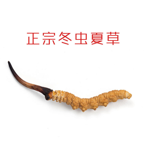 成都虫草回收| 成都上门回收烟酒 