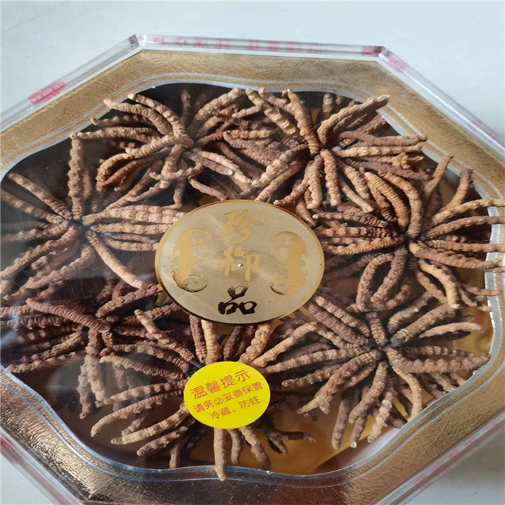 成都储藏冬虫夏草