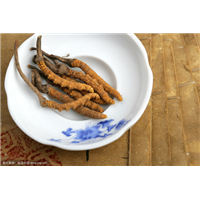 成都上门高价回收虫草 
