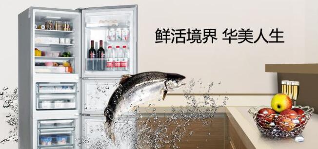 周口中旺电器有限公司