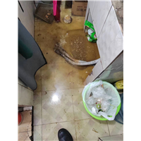 重庆璧山县管道疏通公司多少钱