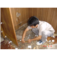 消毒灭鼠