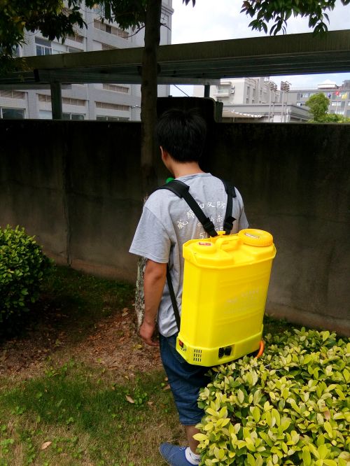 厦门专业白蚁防治 