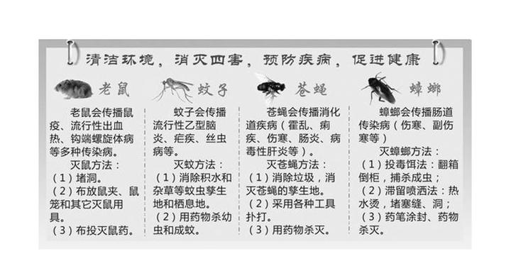 四害的严重性图解-厦门四害防治公司 