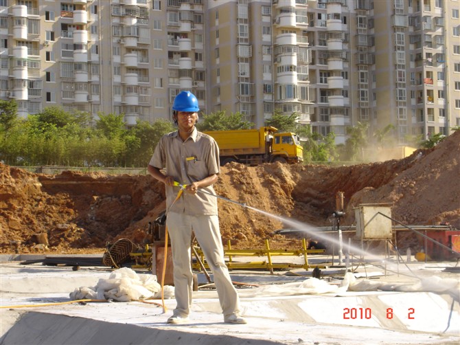 2010年厦门白蚁防治工程13860421819 
