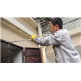 如何去除家庭白蚁?|厦门白蚂蚁 