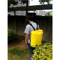 厦门专业白蚁防治 