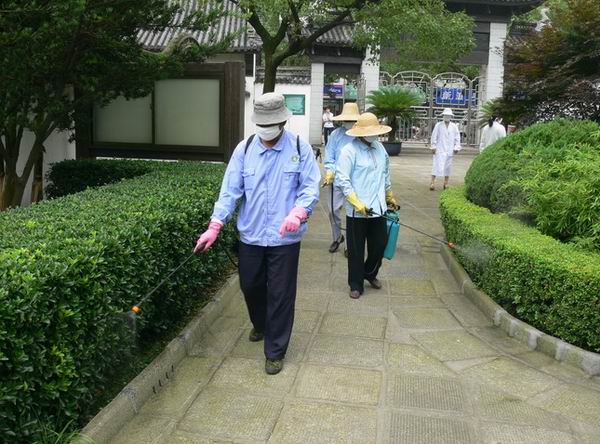 晋江白蚁防治 