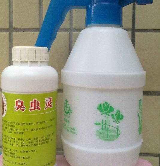 泉州杀虫公司 