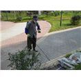 泉州灭蜱虫 
