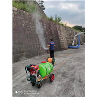 泉州宾馆灭鼠 