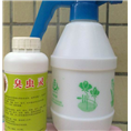 泉州杀虫公司 