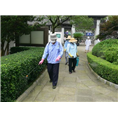 晋江白蚁防治 